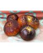 Tomato 'Alice's Dream'