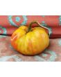 Tomato 'Flathead Monster Pink' Seeds (Certified Organic)