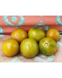 Tomato 'Black Prince'