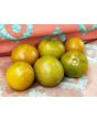Tomato 'Black Prince'