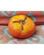 Tomato 'Ponderosa Pink' 
