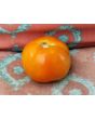 Tomato '3rd' Seeds (Certified Organic)