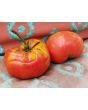 Tomato 'German Queen' 