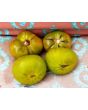 Tomato 'Izumrudnoye Yabloko' AKA 'Emerald Apple' 