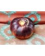 Tomato 'Blue Beauty' 