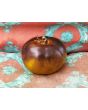 Tomato 'Wagner Blue Green' 