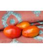 Tomato 'Chico III' Seeds (Certified Organic) 
