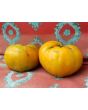 Tomato 'Hillbilly' 