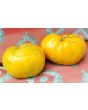 Tomato 'Hillbilly' 