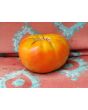 Tomato 'Red Brandywine, Regular Leaf' 