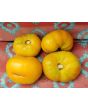 Tomato 'Marzipan Gold' Seeds (Certified Organic)