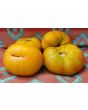 Tomato 'Marzipan Gold' Seeds (Certified Organic)