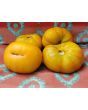 Tomato 'Marzipan Gold' Seeds (Certified Organic)