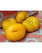 Tomato 'Marzipan Gold' Seeds (Certified Organic)