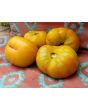 Tomato 'Marzipan Gold' Seeds (Certified Organic)
