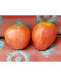 Tomato 'Monomakh's Hat'