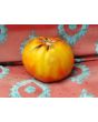 Tomato 'Donskoi' Seeds