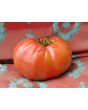 Tomato 'Monk'