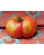 Tomato 'Monk'