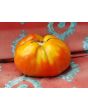 Tomato 'Zogola'