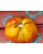 Tomato 'Zogola'