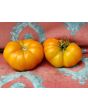 Tomato 'Rumi Banjan'