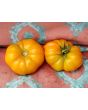 Tomato 'Rumi Banjan'