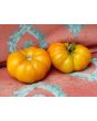 Tomato 'Rumi Banjan'