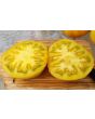 Tomato 'Marzipan Gold' Seeds (Certified Organic)