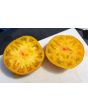 Tomato 'Marzipan Gold' Seeds (Certified Organic)