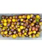 Tomato 'Gold Berries'