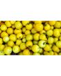 Tomato 'Gobstopper' 