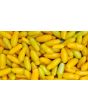 Tomato 'Starlight' Seeds