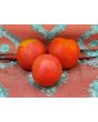 Tomato 'Amerikanskiy Sladkiy' 