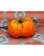 Tomato 'Big Zac' Seeds