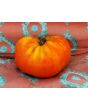 Tomato 'Big Zac' Seeds