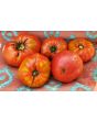 Tomato 'Monk'