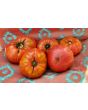 Tomato 'Monk'