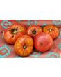 Tomato 'Monk'