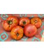 Tomato 'Monk'