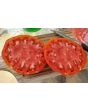 Tomato 'Monk'