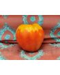 Tomato 'German Red Strawberry'