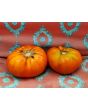 Tomato 'Believe It Or Not' 