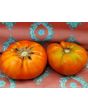 Tomato 'Believe It Or Not' 