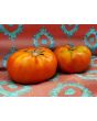 Tomato 'Believe It Or Not' 