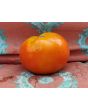 Tomato 'Heinz 1527' Seeds (Certified Organic)