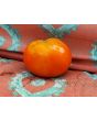 Tomato 'Heinz 1527' Seeds (Certified Organic)