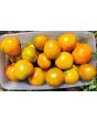 Tomato 'Bleeding Heart' Seeds (Certified Organic)