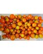 Tomato 'Small Red Cherry'
