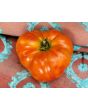Tomato 'Believe It Or Not' 